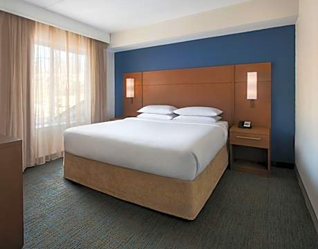 One-Bedroom Suite with Sofa Bed