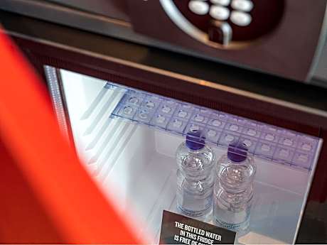 Deluxe Room With 1 Queen Bed And 2 Single Sofa Beds