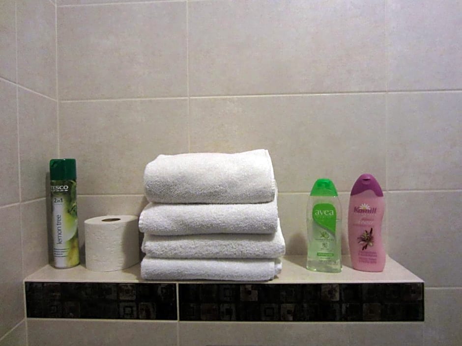 Willa M cisza w centrum miasta