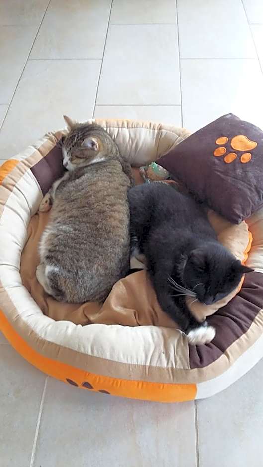 Pension Thermensonne