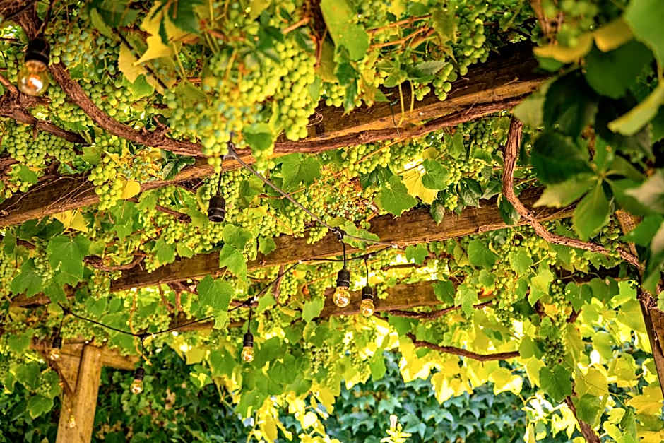 Casa do Patio by Shiadu