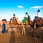 Desert Camel Trekking Camp