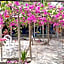 Elephant House and Bungalows Gili Air