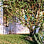 LE SETTE VIE HOLIDAY HOMES
