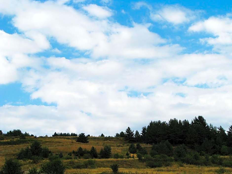 Park Hotel Eagle Stone