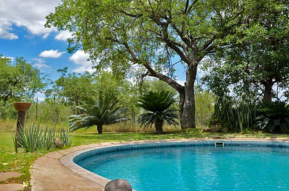 Tingala Lodge - Bed in the Bush