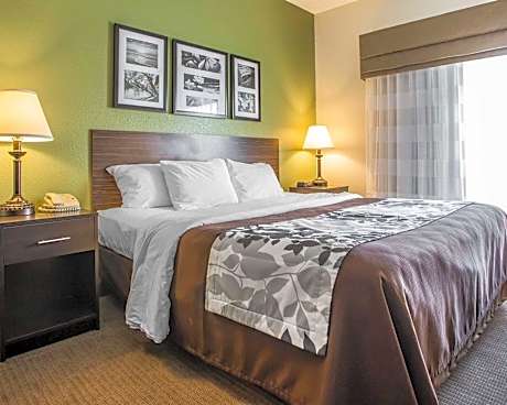 1 King Bed, Suite, No smoking, Accessible