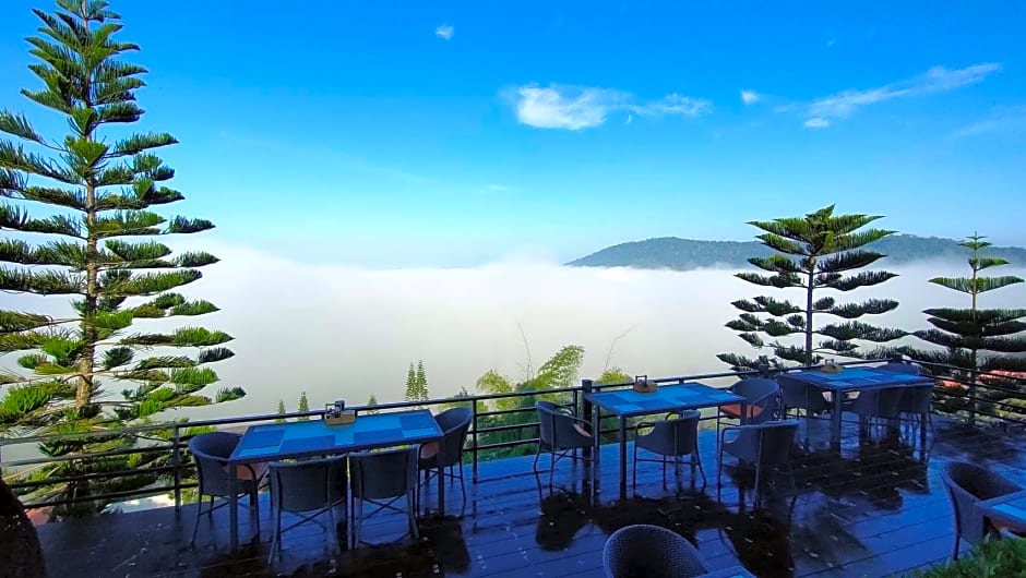 180 All Day All Season