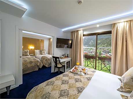 Double Room with Mountain View