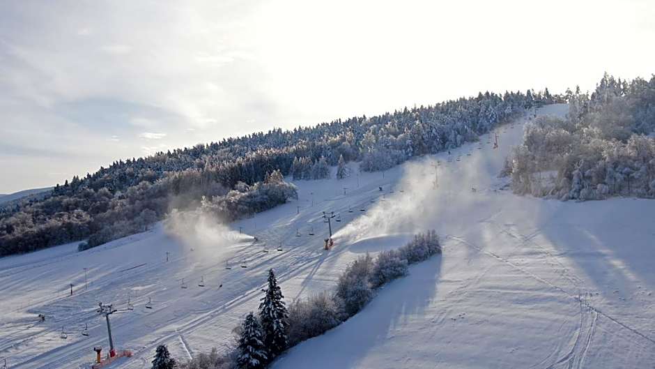 Hotel BIESZCZADski Wańkowa