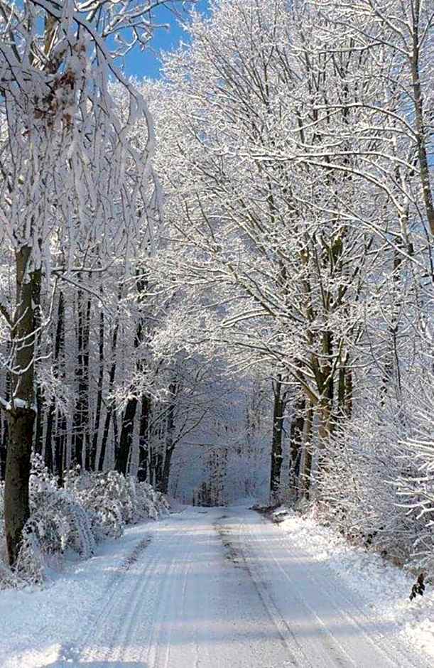 Chalets under Falcon Ridge