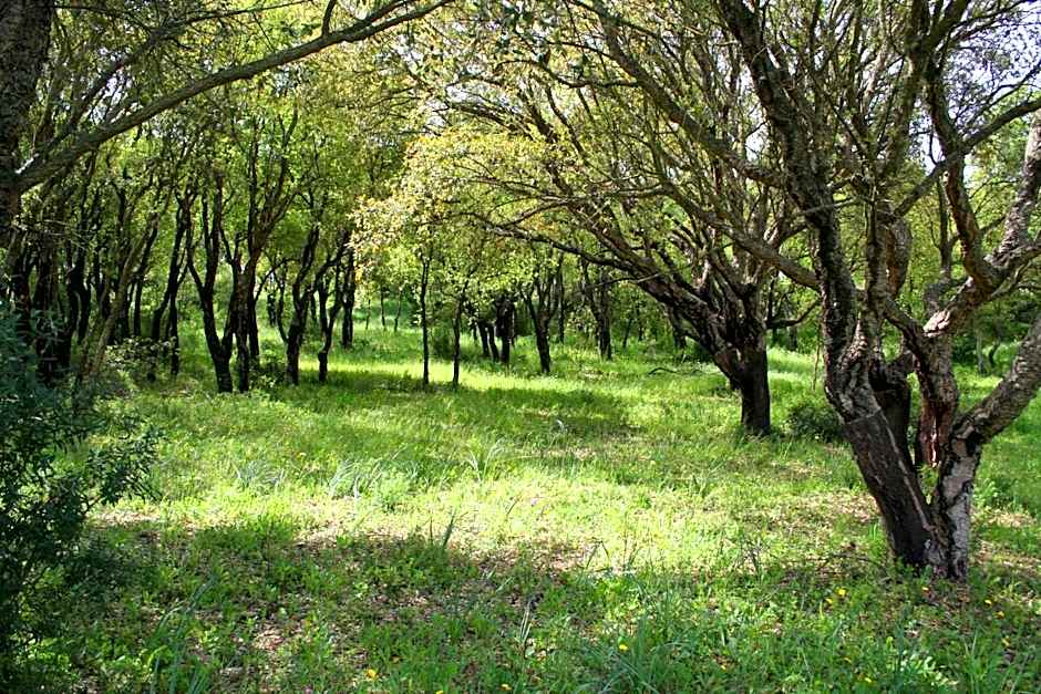 Sa Rocca Sport e Resort