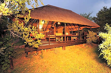 Safari Tent