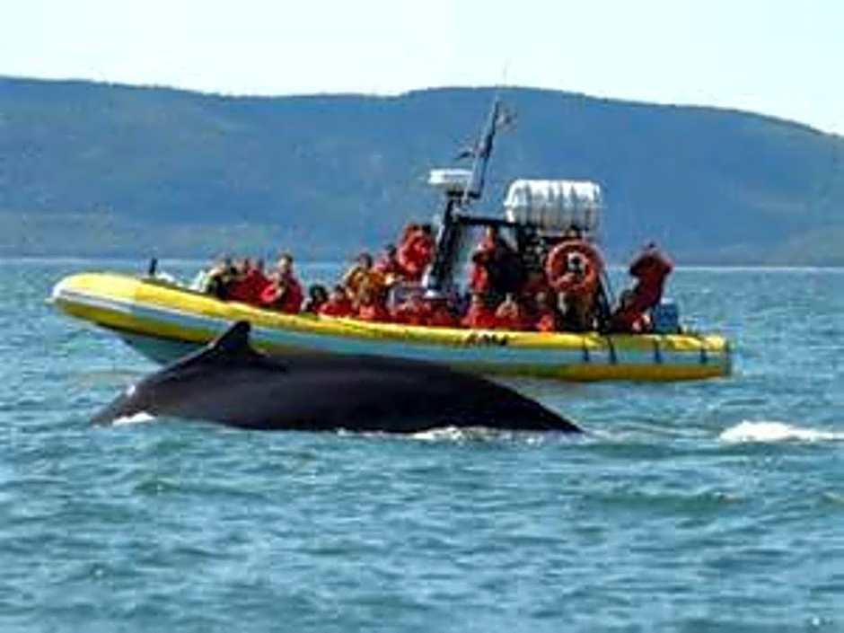 Hôtel Sous la Croix 152725