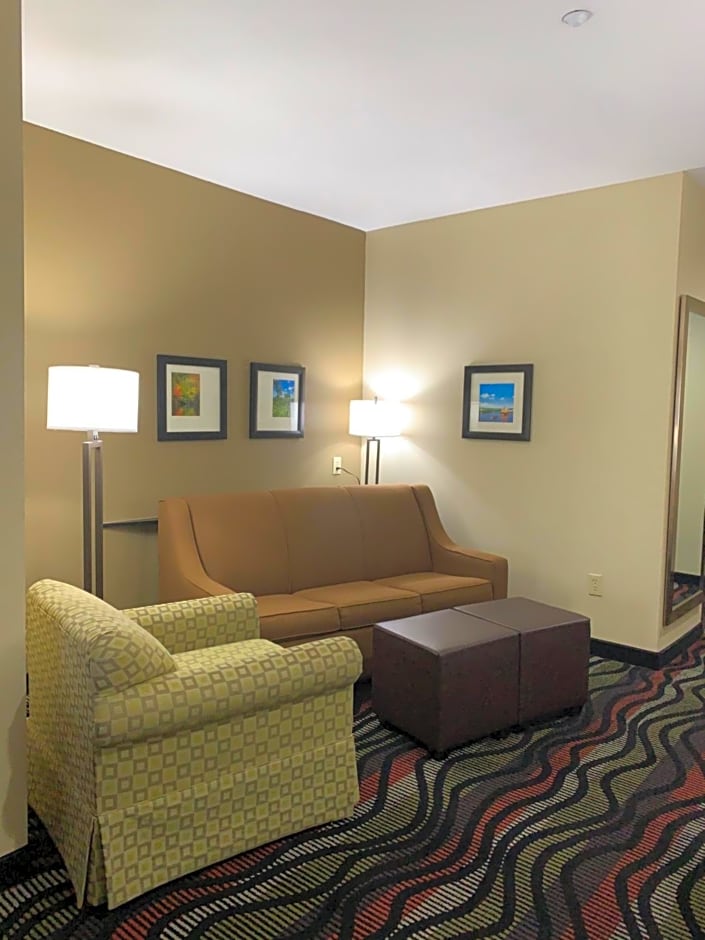 Comfort Suites Beaumont I-10