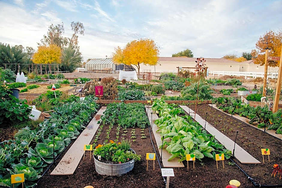 Holiday Inn Express and Suites Gilbert - East Mesa By IHG