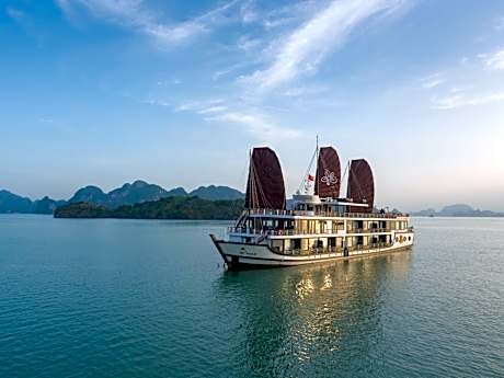 Orchid Trendy Cruise