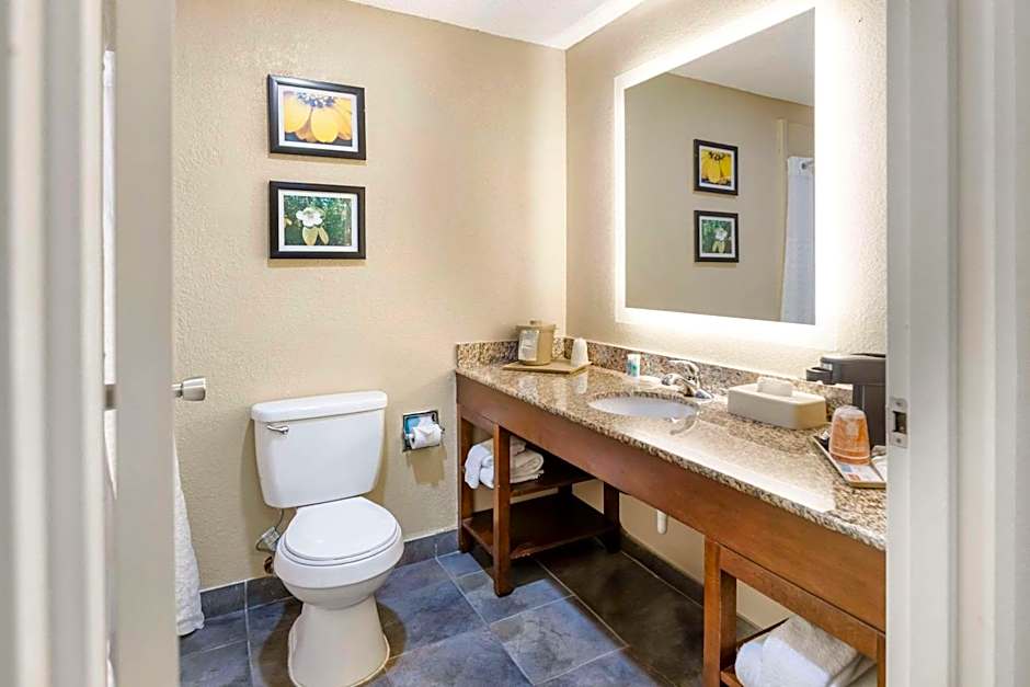 Comfort Inn Meridian