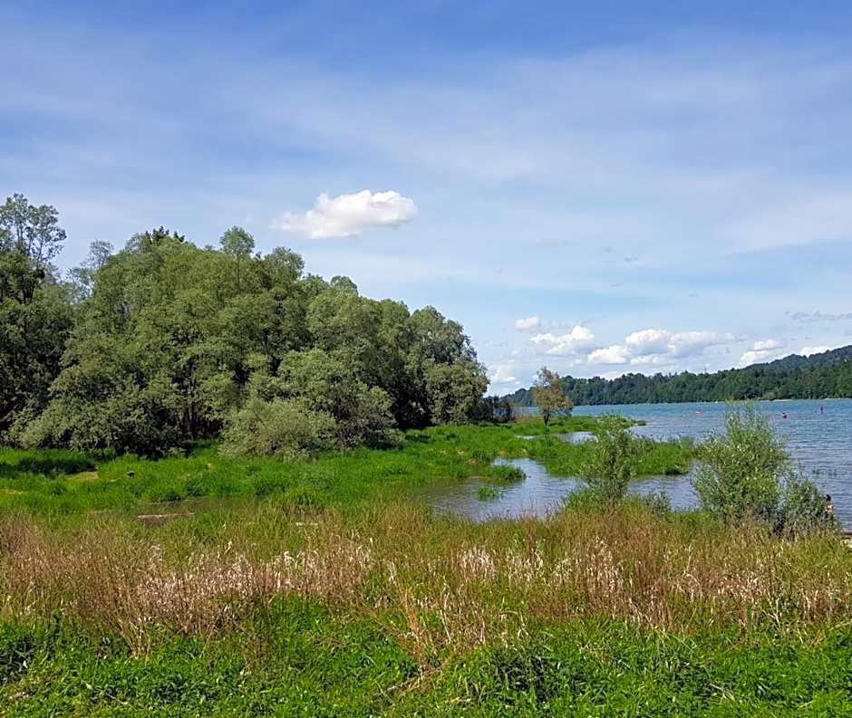 Hôtel Restaurant le Gruyérien