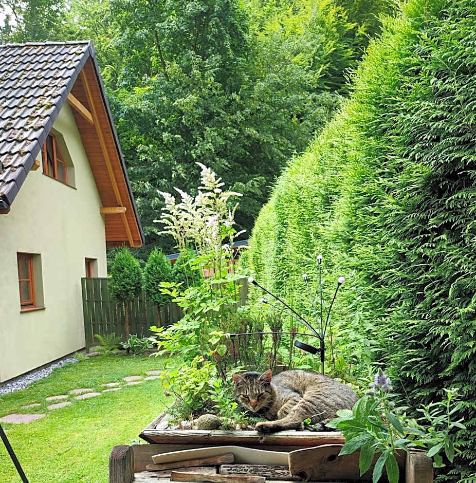 Domki Na Źródlanej