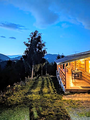 Cabana doi mesteceni