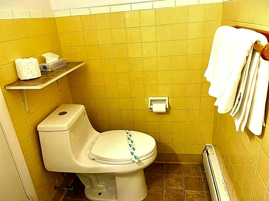 Buena Vista Inn Motel