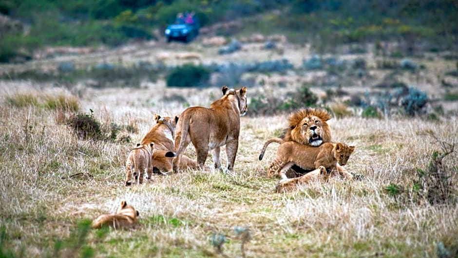 Gondwana Game Reserve