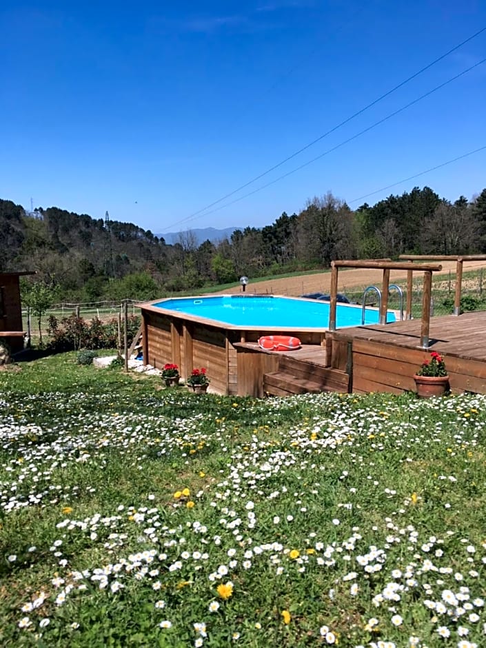 Il Mugello B&B