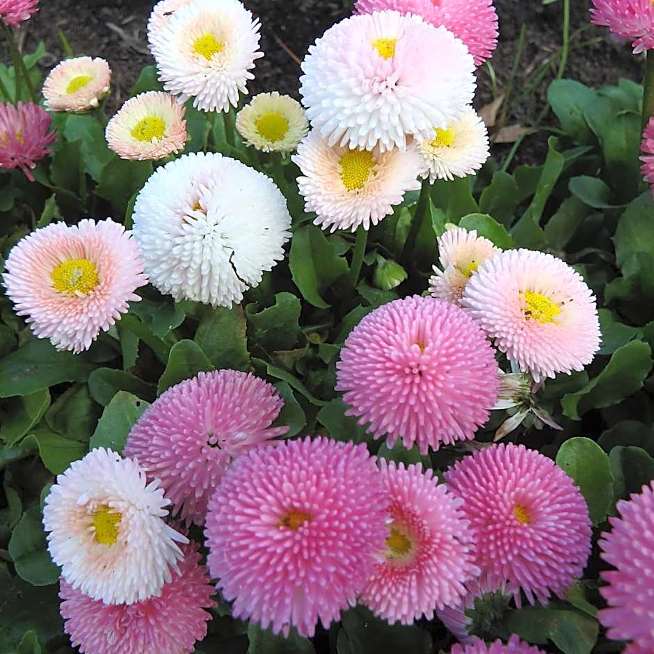 Bowral Road Art Gallery Bed and Breakfast