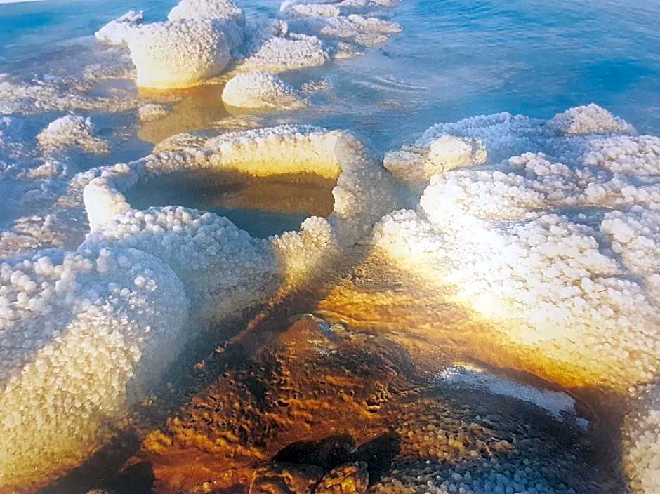 Beatrice Hospitality