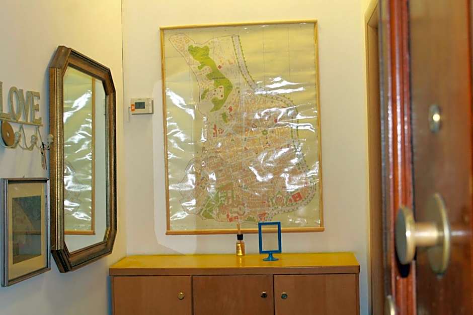 Daffodil in Roma San Pietro