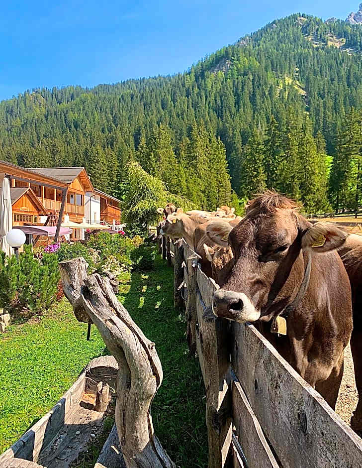 Alpin Natur Hotel Brückele