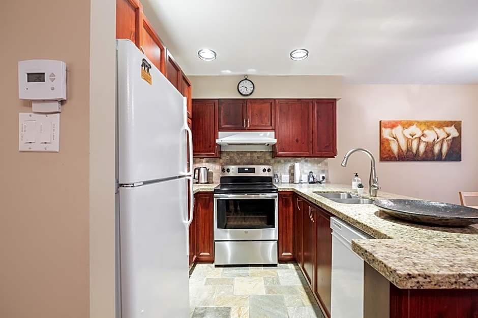 Forest Trails by Outpost Whistler