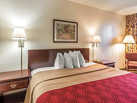 1 King Bed Smoking