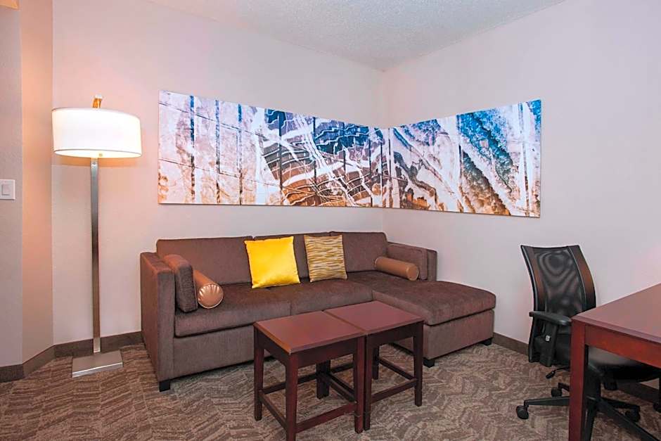 SpringHill Suites by Marriott Birmingham Colonnade/Grandview