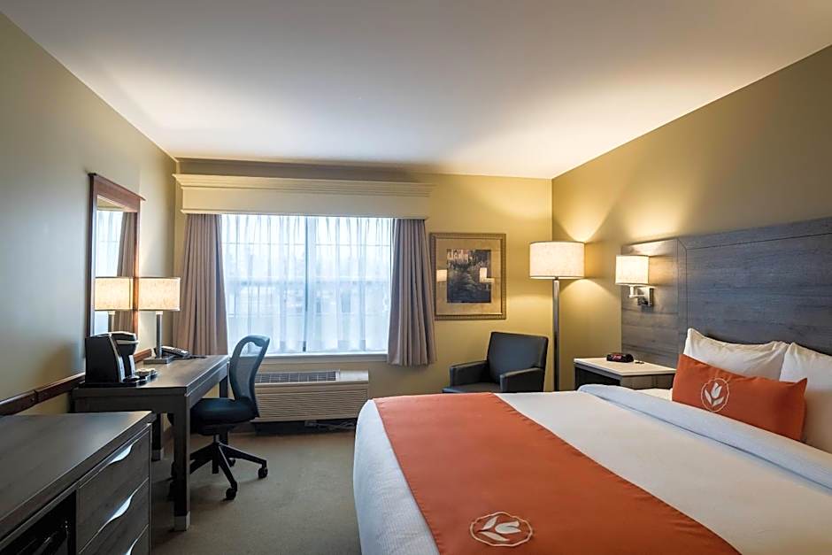 Amsterdam Inn & Suites, an Ascend Collection Hotel
