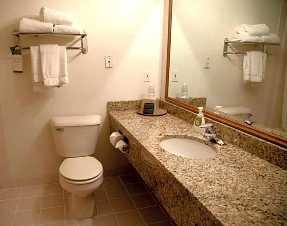 Comfort Inn & Suites Morton - Peoria