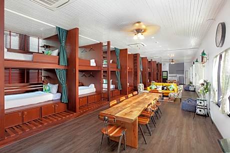 Bunk Bed in Mixed Dormitory Room