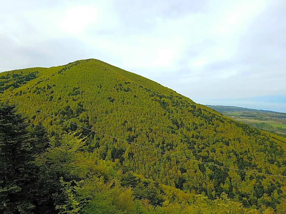 Park Hotel Bellavista