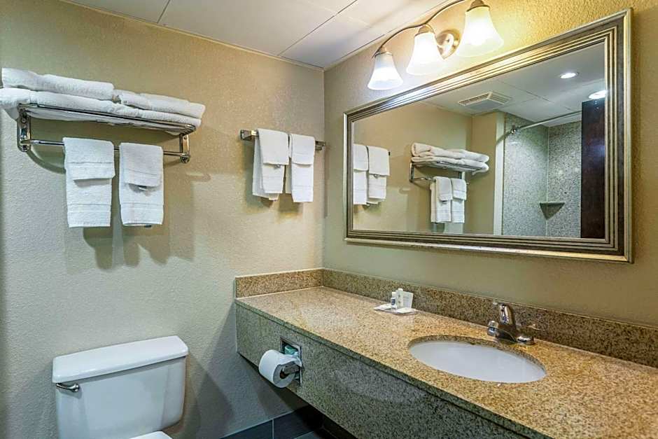 Comfort Inn Decatur Priceville