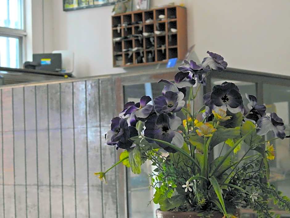 Don Luis Hostal - Sucursal Hidalgo - Tecolutla