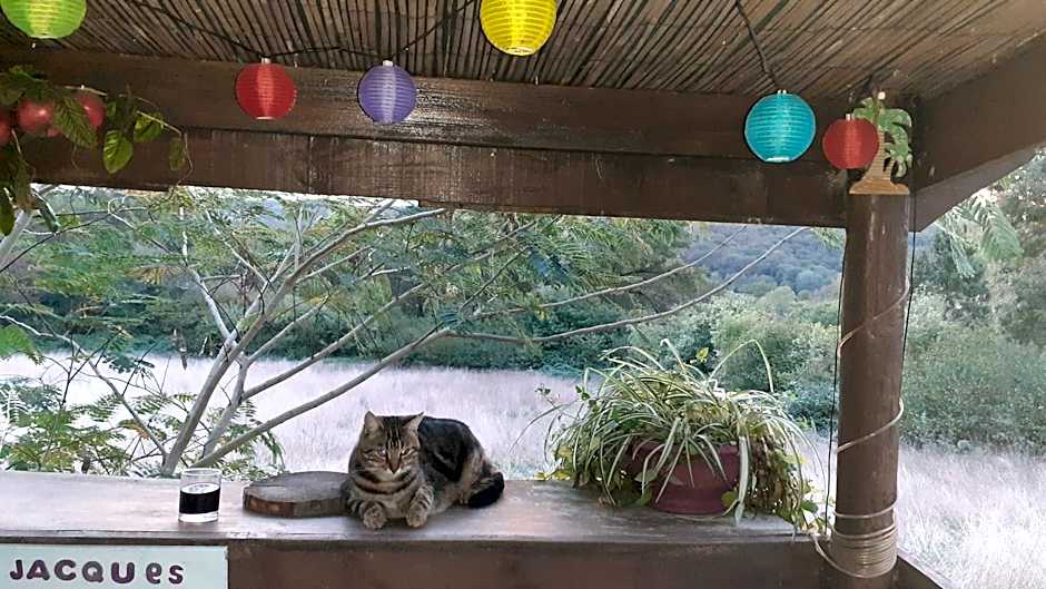 O'jardin
