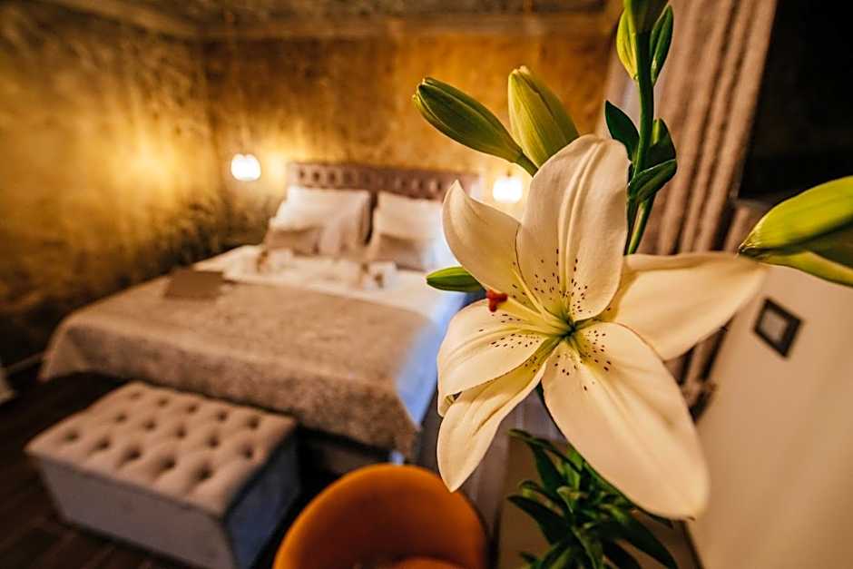 Luxury Rooms VINDEMIÆ