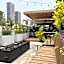 Pug Seal Polanco Anatole France