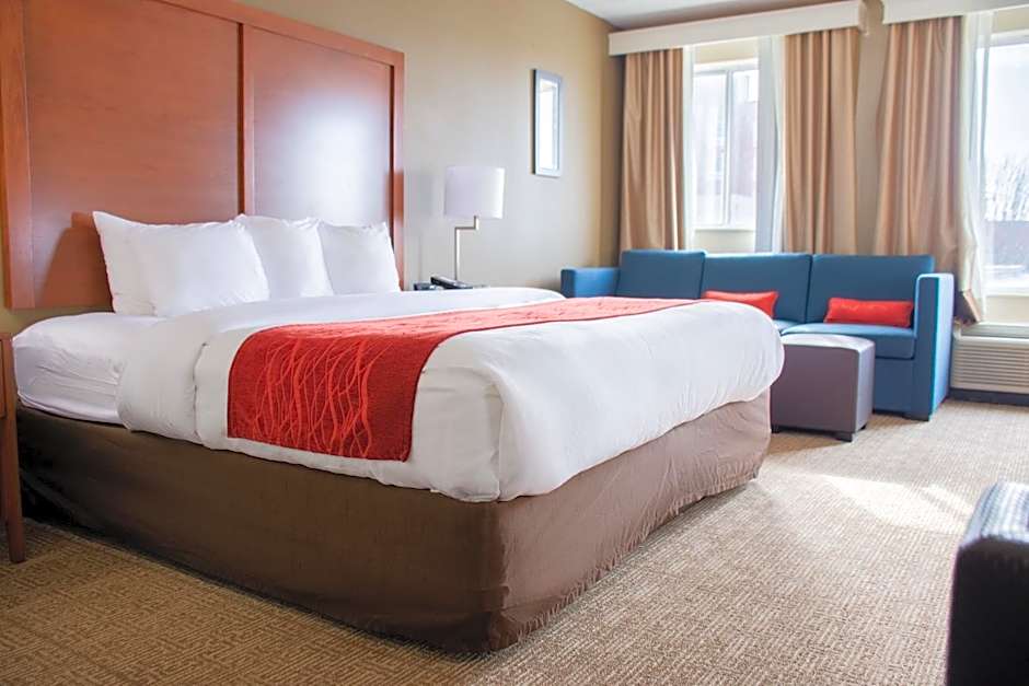 Photo 1 of 12 of 1 King Bed with Sofabed