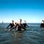 Cures Marines Trouville Hôtel Thalasso & Spa - MGallery by Sofitel