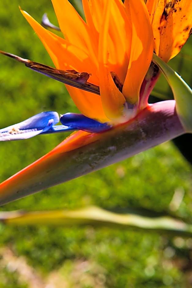 APARTHOTEL CABICASTRO Tres estrellas superior