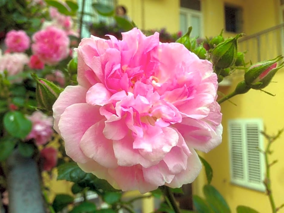 B&B Maison Rosetta IUN-E4948