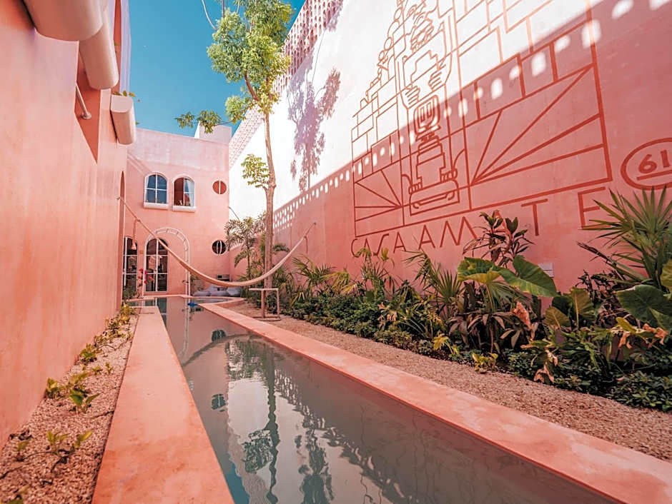 Casa Amate 61 Boutique Hostel