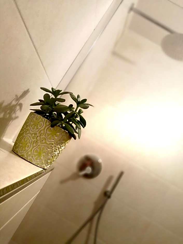 Pension Almhof Baumgarten